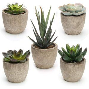 5 Pack Potted Artificial Succulent Plants Assorted Decorative Faux Fake Decor
